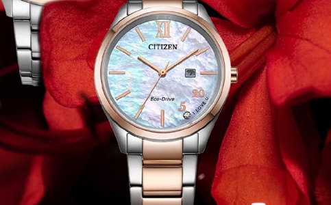 成都西鐵城表保養(yǎng)中心地址