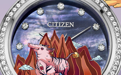 上海市西鐵城維修保養(yǎng)