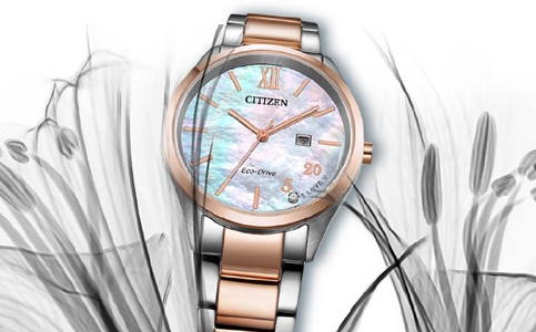 德州西鐵城手表售后維修服務(wù)中心