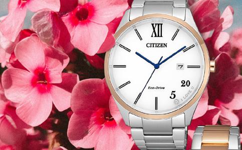 滁州西鐵城手表售后維修服務(wù)中心